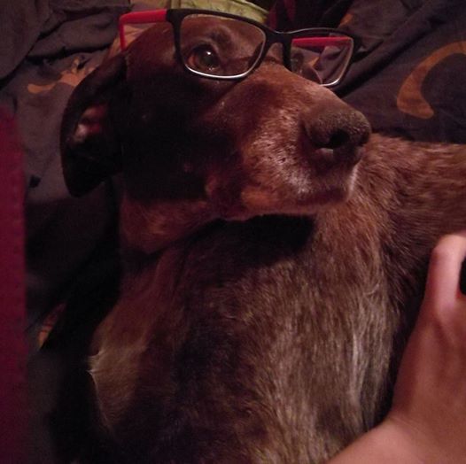 Kinga Sz