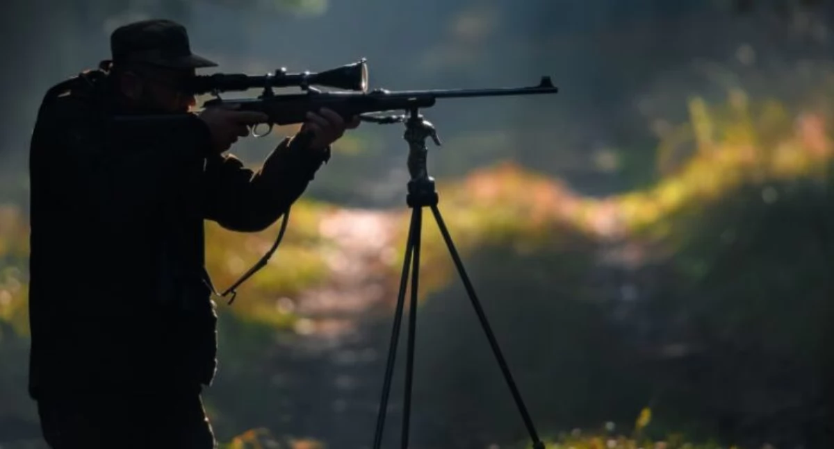 PZŁ, wprowadza obowiązkowe coroczne szkolenia ukończy będzie mógł polować - zdjęcie, fotografia