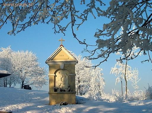 Zdjęcie Andrzej N - fotografia