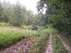 Działania w terenie