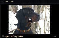 Fotka nr 4 z 5