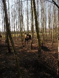 foto Hubert Pawelec