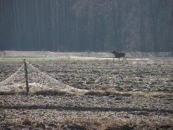 foto Hubert Pawelec