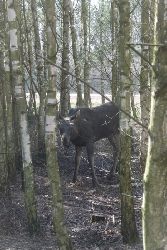 zdjęcie nr 9