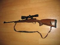 Fotka nr 3 z 10