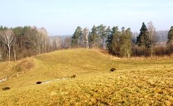 zdjęcie nr 10