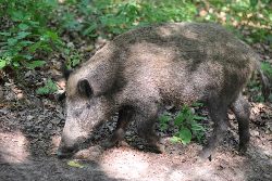 zdjęcie nr 31