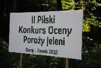 zdjęcie nr 12