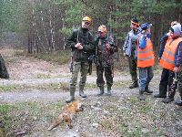 Fotka nr 5 z 13