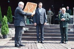 zdjęcie nr 12