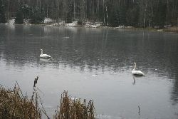 Fotka nr 0 z 7