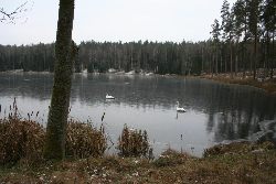 Fotka nr 1 z 7