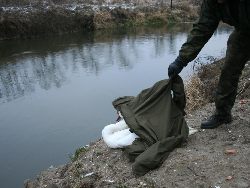 Fotka nr 5 z 7