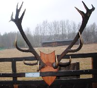 zdjęcie nr 13