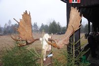 zdjęcie nr 7