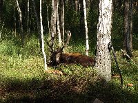 Fotka nr 5 z 10