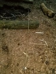 Kijek po kiełbasce zostawiony przez amatorów nielegalnych połowów ryb.
