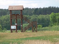 Obserwacyjna wieża zbudowana przez nadleśnictwo Olsztynek