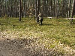 Ogrodzenie sasanki pomoże kwiatom przetrwać i umożliwi roślinom rozsianie nasion