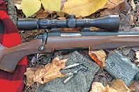 Fotka nr 2 z 7