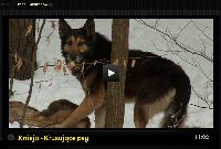 Fotka nr 4 z 5