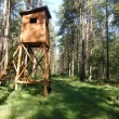 zdjęcie nr 