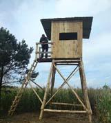 Praca Myślistwo  - ogłoszenia drobne Myślistwo  | poluje.pl