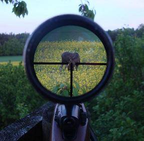 Zdjęcie: Zawody strzeleckie Myślistwo Kalendarium poluje