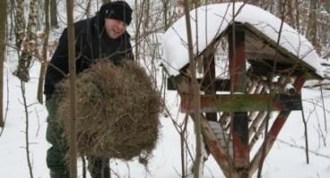 Dzienniczek stażysty na myśliwego – staż w praktyce